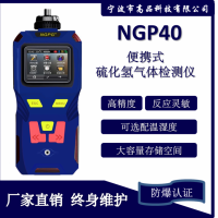 便携手持式硫化氢气体检测仪NGP40-H2S