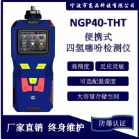 四氢噻吩检测仪 THT 气体报警器 分析仪