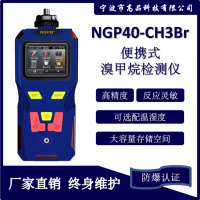 溴甲烷检测仪 CH3Br 气体报警器 分析仪