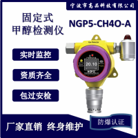 甲醇检测仪 CH4O 气体报警器 固定分析仪