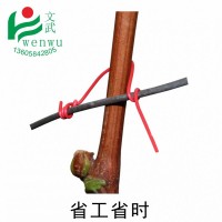 葡萄绑线 捆果树枝条0.55圆 12cm农作物绑线绑蔓 丝线