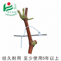 葡萄扎丝绑丝扁0.7 12厘米一万条园林绑枝塑铁丝扎藤蔓枝条