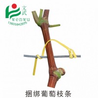 葡萄绑枝条 电镀锌包塑园林铁丝 15厘米 绑扎丝 绑枝条扎用