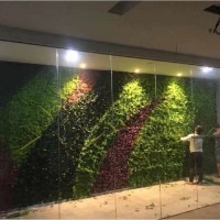 商店仿真植物墙 橱窗装饰植物墙 绿化植物墙 生态景观植物墙