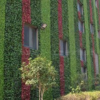 丛一 立体绿化植物墙 绿化工程植物墙 厂家室外植物墙